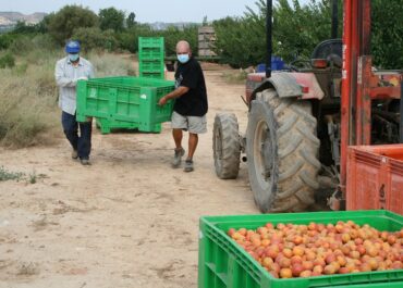 JARC rebutja una reforma laboral que no té en compte la realitat del sector agrari