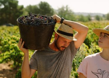 Marquem la línia vermella: preus justos per al raïm o sancions exemplars!