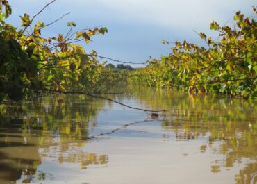 Inundacions evitables: la ciutadania pateix per la falta de manteniment