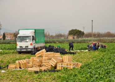 Novetats en els ajuts per a la construcció i rehabilitació d’allotjaments per a temporers