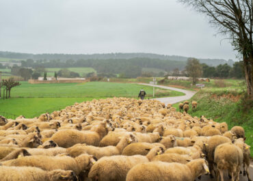 No perdis l’ajut de l’Ecològica!