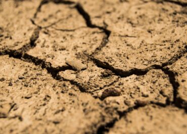 Ajuts complementaris per sequera i altres adversitats climàtiques 2023-2024