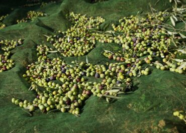 JARC exigeix mesures efectives per defensar la Producció Agrària Ecològica a Catalunya