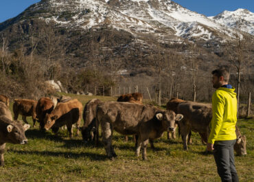 Les nostres prioritats per al Pla d’acció de la ramaderia extensiva 2025-2028