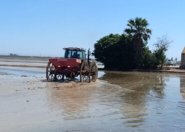 Els productors d’arròs diem prou: el Delta no es toca