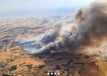 Mesures urgents i a llarg termini per donar suport als pagesos afectats per l’incendi i garantir el futur del camp català