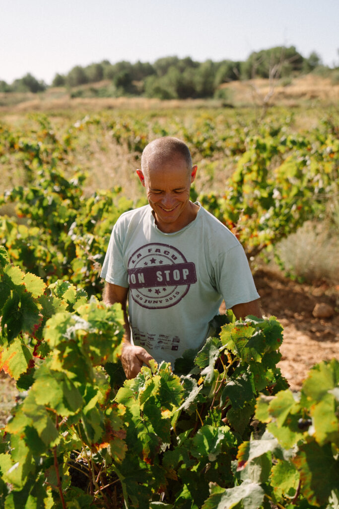 Vega de Ribes cultiu ecològic