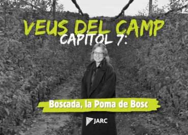 Boscada, Millor Poma Golden: les pomes que fan de lo quotidià una cosa extraordinària.