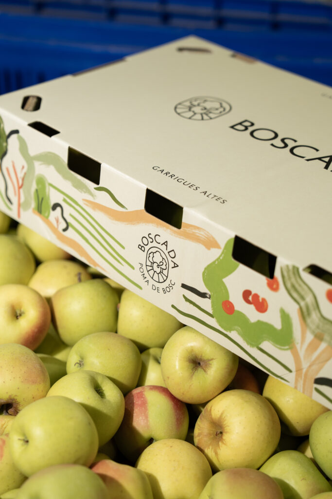 Caixa de pomes de bosc Boscada a la finca de Bellaguarda
