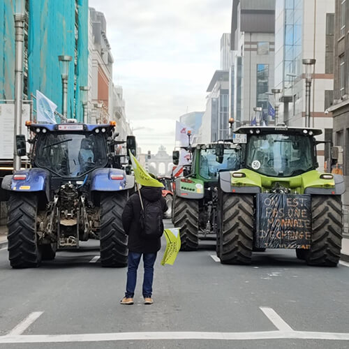 eleccions-galeria-11