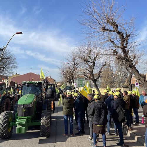 eleccions-galeria-12