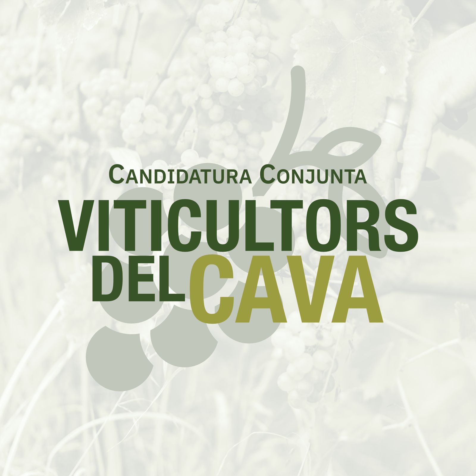 Vilafranca del Penedès. Presentació de la candidatura conjunta Viticultors del Cava