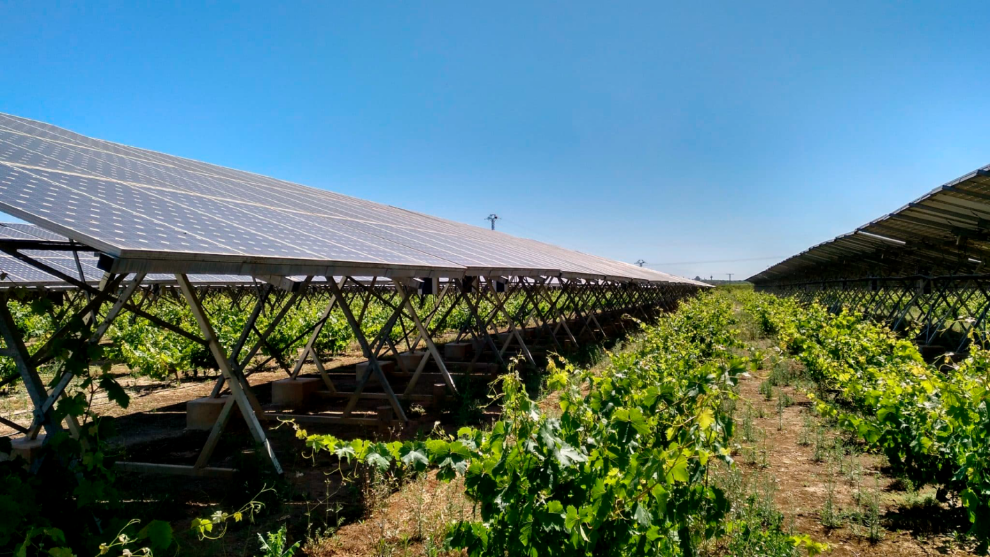 JORNADA: Agrovoltaica: una oportunitat real per diversificar i millorar la viabilitat de l’explotació?