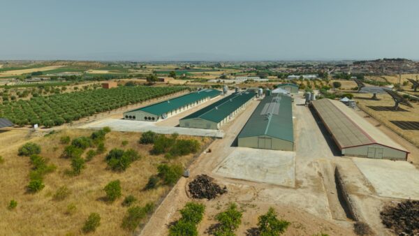 arbeca granges avicola perelló pairada, vista aeria